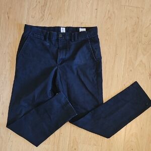 GAP Men's Navy Chinos